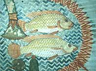 A wall painting of fish from the tomb of Menna at Thebes