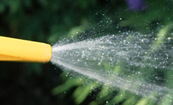 A hosepipe spraying water