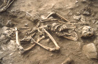 Photo of a skeleton from the Anglesey dig