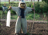 St Osyth scarecrow