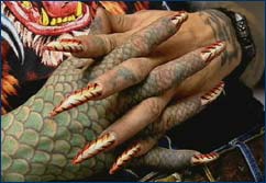 Cat's painted fingernails