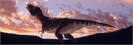 T. Rex - from the series Walking with Dinosaurs