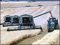 A questão dos subsídios agrícolas está emperrando as negociações