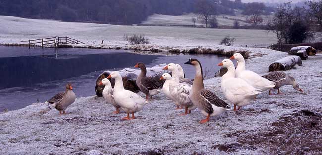 Hawksmoor Nature Reserve
