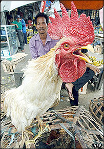 बर्ड फ्लू