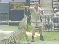 Irwin "abusou" da criança, dizem críticos