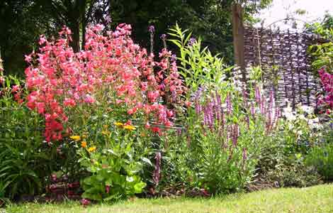 The Ambrose's garden at Tunstall