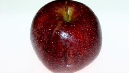 Isaac Newton's Inspiration