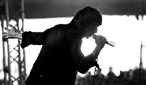 The Horrors