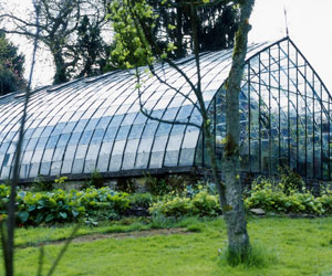 glasshouse