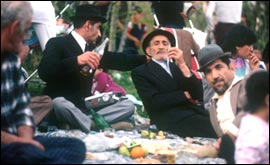 Jewish men at a picnic 