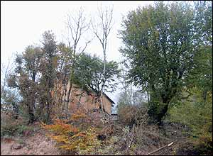 عکس از علی شيخی