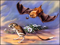 روز گم شب پيدا