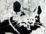 A Banksy rat sent in by Tanya Nagar