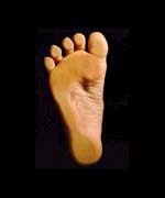 One of Granhøj Dans' feet 