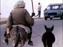 Thruster and friend hit the beach