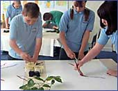 Image of children painting