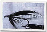 Pluen Sewin Edgar Ciper