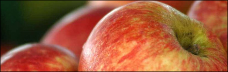 Apples