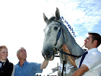 Dangos stalwyn gwedd