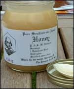 June in Brolly's Garden 