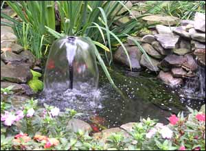 عکس از سپيده کرای