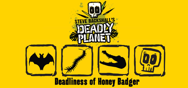 Deadliness of honey badger secret code - Bat, Centipede, Croc, Skull