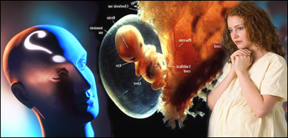 تغذيه وعقب مانی ذهنی