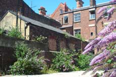 Back of the terrace