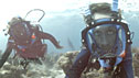 Divers