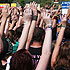 The crowd
