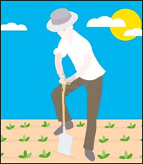 صالح او طالع