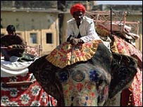 एशियाई हाथी