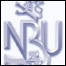Logo NBÚ