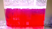 The colourful result of testing lemon juice with the acid-base test
