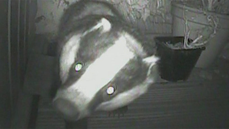 Bager webcam by Laurence Clark