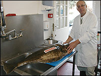 John Yeardley of East Coast Fish with the halibut