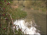 Red Lake, Telford