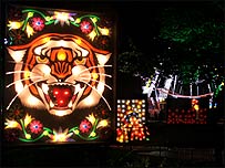 Walsall Illuminations 2005