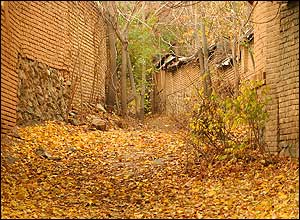 عکس از رضا معتقدی