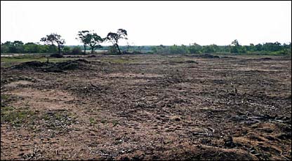 Kokilai nature reserve bulldozed and cleared allegedly for settlement