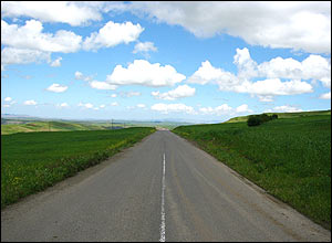 کتايون گنزلی