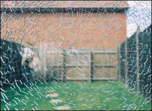 عکس ازعلی ایپک چی