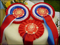 cheese with rosettes