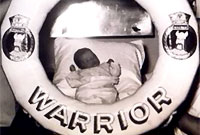 Bill Brazendale: Happy Warrior