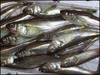 Peixes