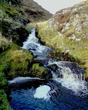 Burn tumbles down hillside