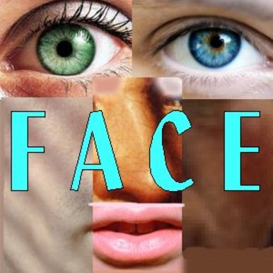 Face