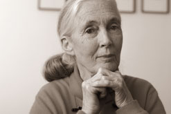 Dame Jane Goodall. Photo by David S Holloway