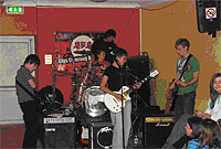 Digon o gerddoriaeth at ddant pawb!